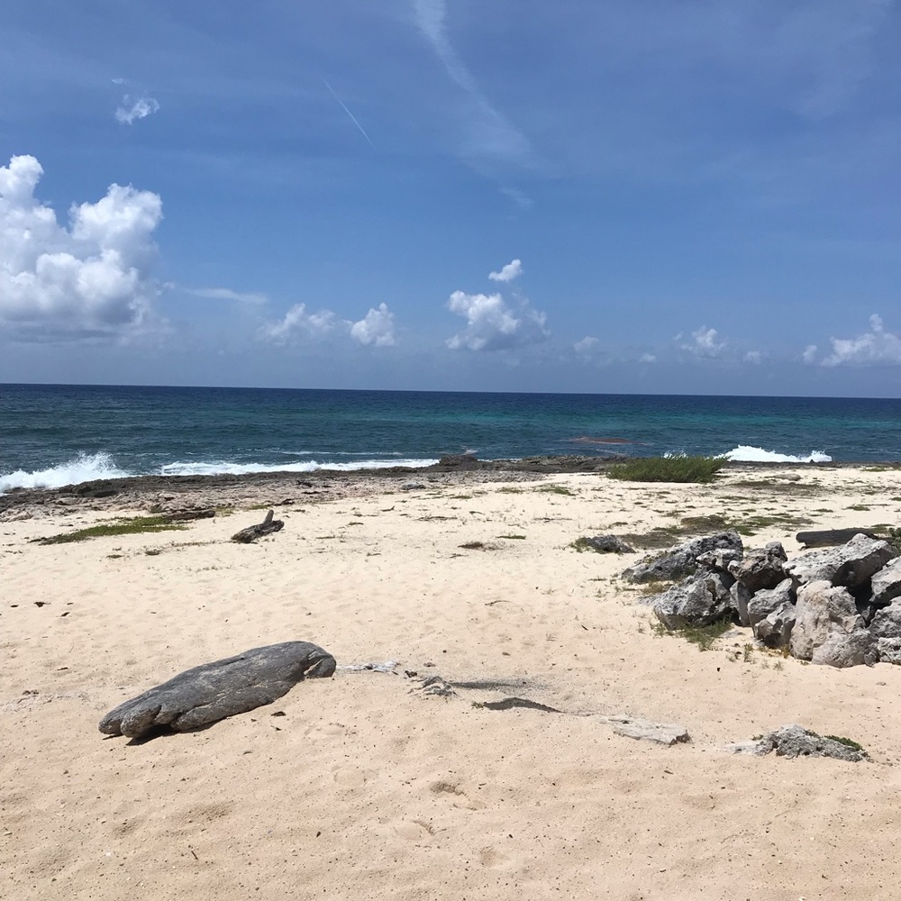 Meet your Posher, Talitha